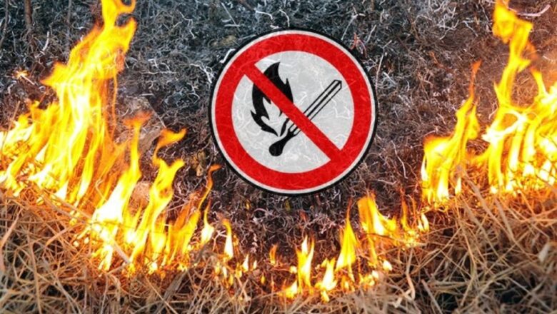 На Шепетівщині нові штрафи за спалювання сухої трави