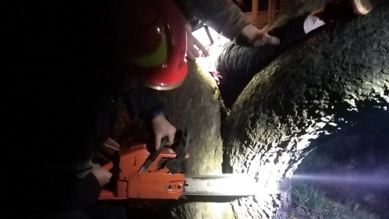 Шепетівські рятувальники вирізали з дерева ногу 5-річної дитини