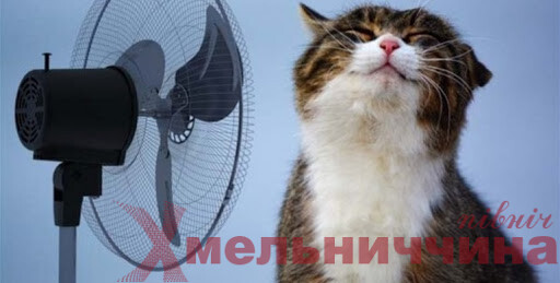 Наскільки високі температури цими вихідними чекають на жителів Шепетівського району