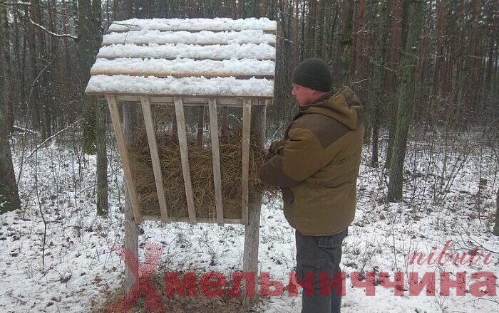 У Шепетівському лісгоспі пояснюють: з настанням холодів лісові мешканці потребують підтримки