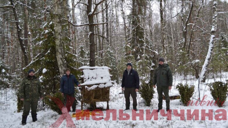 НПП «Мале Полісся» здійснює підгодівлю диких тварин взимку