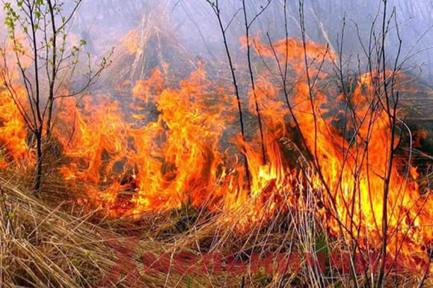 6 пожеж на відкритій території сталося на Хмельниччині за добу