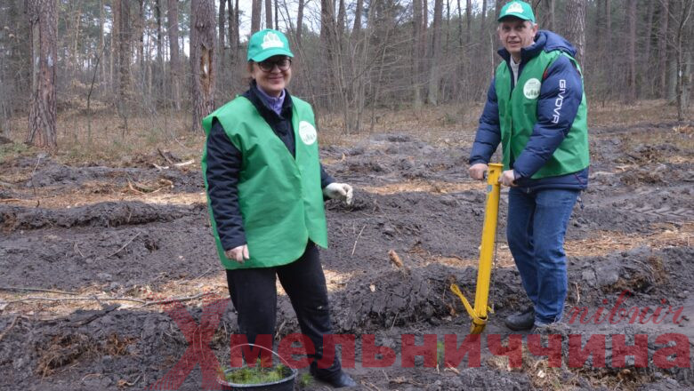 ДП «Шепетівський лісгосп»: весняна лісокультурна кампанія у розпалі
