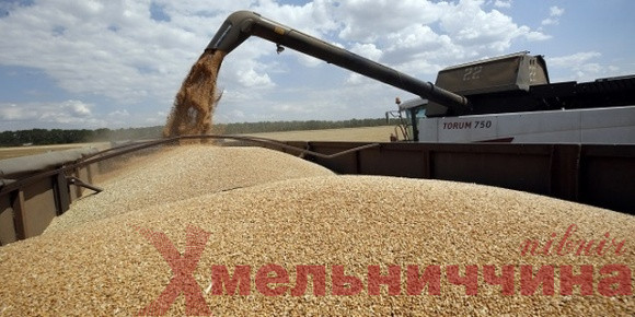 Експорт цьогорічного врожаю зернових: Німеччина допоможе Україні