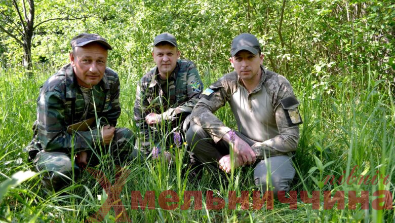 Працівники НПП «Мале Полісся» під час експедиції виявили нові рідкісні Червонокнижні рослини