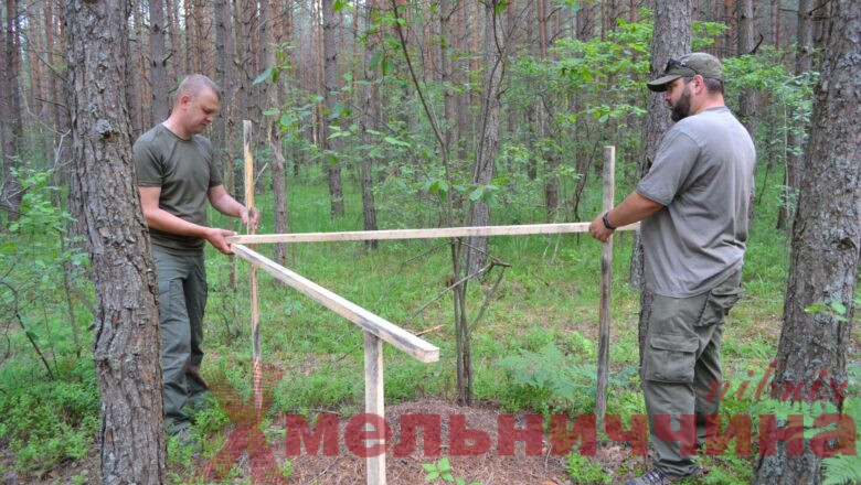 Захистити “санітарів лісу”: як дбають про мурашники у “Малому Поліссі”