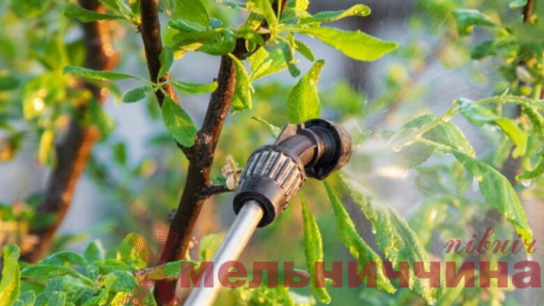 Яблуневі сади на Ізяславщині оброблятимуть від шкідників та хвороб