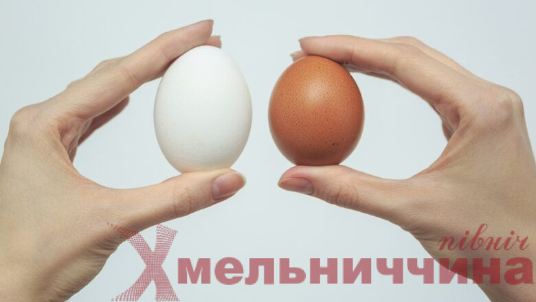 В Україні планують змінити вимоги до курячих яєць