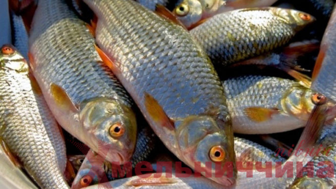На Хмельниччині двоє браконьєрів наловили риби на майже мільйон гривень