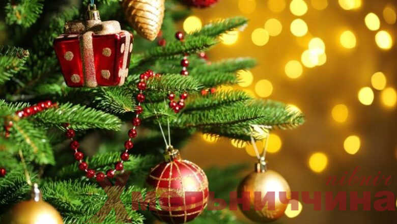 На Хмельниччині скоро розпочнуть продаж хвойних: скільки коштуватиме новорічне дерево