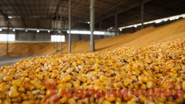Аграрії Хмельниччини отримали найвищу врожайність зернових та зернобобових