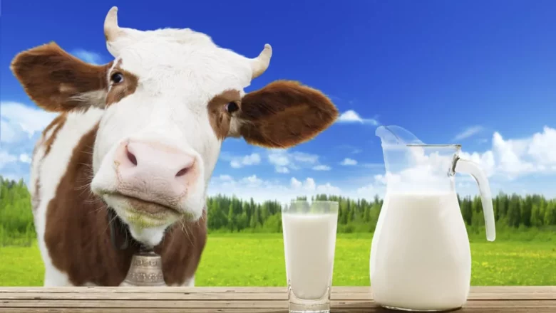 Хмельниччина: область виробила найбільше молока в Україні за час повномасштабної війни