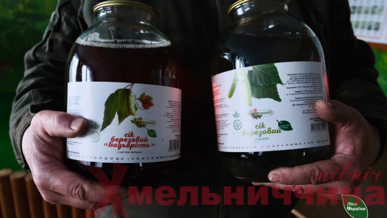 На Шепетівщині стартує збір березового соку