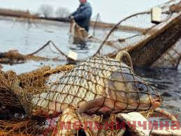На Хмельниччині рибалка-порушник заплатить понад 26 000 гривень за завдану шкоду
