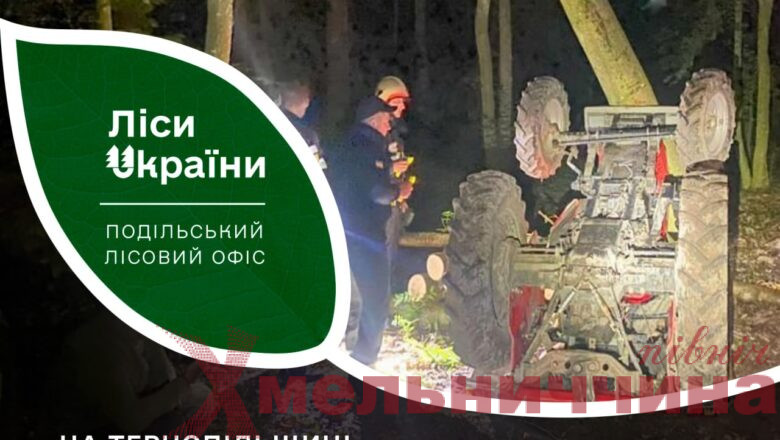 Смерть у лісі: внаслідок незаконної рубки у сусідній із Хмельниччиною області загинув чоловік