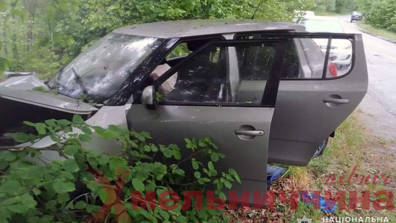 На Шепетівщині водійка в’їхала в дерево: потерпілу жінку та її 3-річного сина госпіталізували