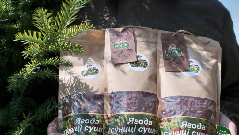 Лісівники на Хмельниччині висушили тонну лісової суниці для виготовлення еко-продукції