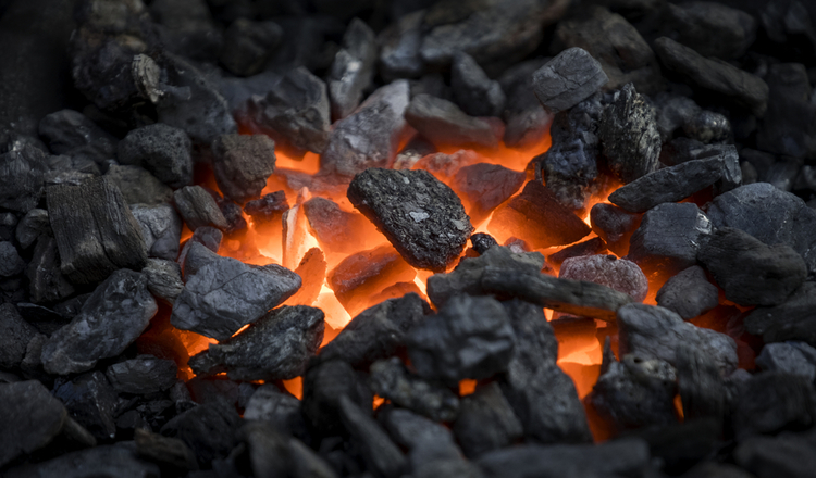 У Михайлюцькій ТГ планують облаштувати майданчик з випалювання деревного вугілля та зберігання сировинних матеріалів