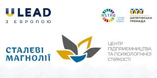 Жителі Шепетівщини можуть підтримати земляків у міжнародному та всеукраїнському конкурсах: «Сталеві магнолії» номіновано на участь