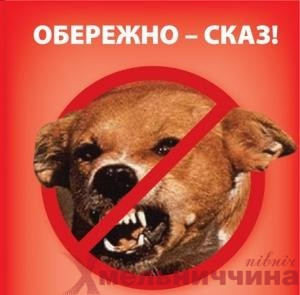 У Красилові зафіксували випадок сказу: введено карантин