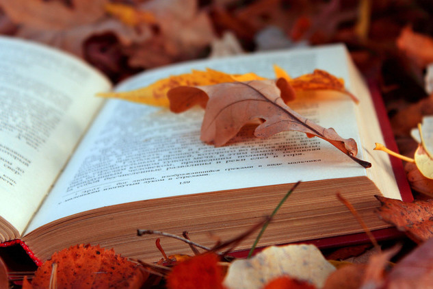 Осінній вайб на полицях Шепетівської книгозбірні. Блог