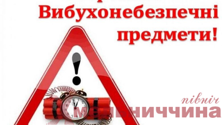У Грицеві піротехніки ДСНС знищили авіаційну бомбу часів Другої світової війни