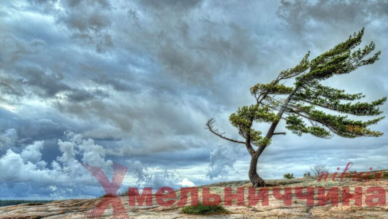 У Хмельницькій області оголошено жовтий рівень небезпечності: синоптики попереджають про сильний вітер