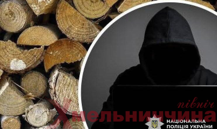 На Шепетівщині активізувалися шахраї, що “продають” дрова онлайн