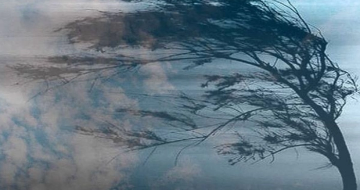 Хмельниччина під загрозою сильного вітру: прогнозує Укргідрометцентр