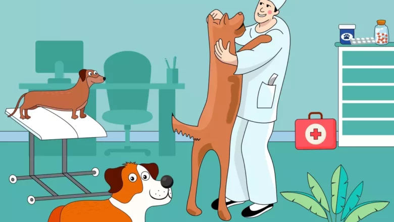 Турбота, що має значення: у Славуті проводять безкоштовну стерилізацію тварин