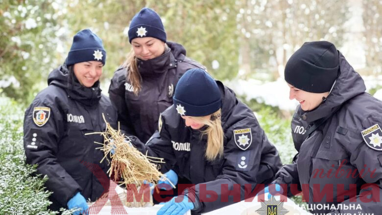 Патруль тепла для хвостиків: як у Нетішині зігріли безхатніх тварин