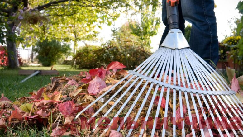 В Ізяславській громаді стартує місячник благоустрою «За чисте довкілля»