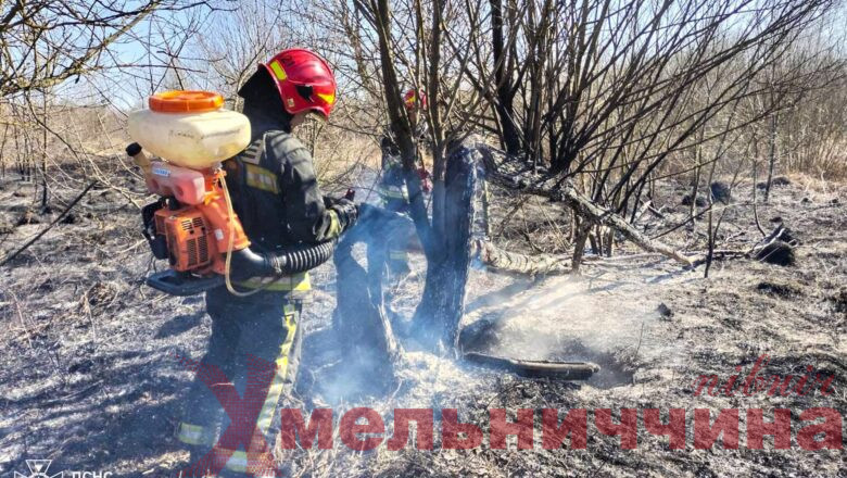 За добу на Хмельниччині ліквідовано 14 пожеж, більшість — у природних екосистемах