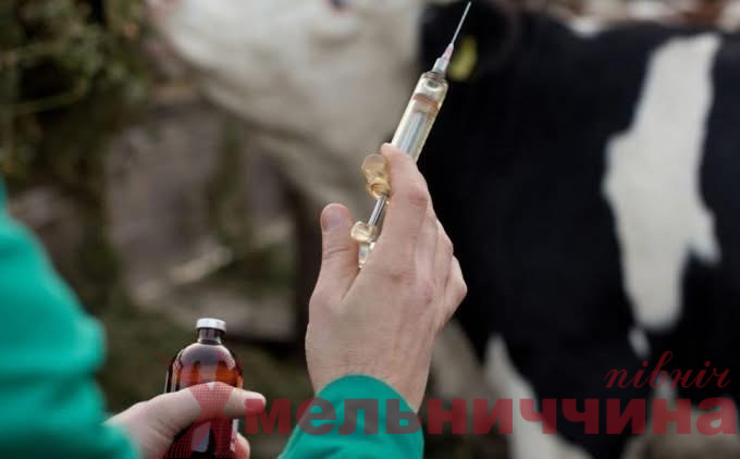 У Крупецькій громаді розпочинається весняний ветконтроль