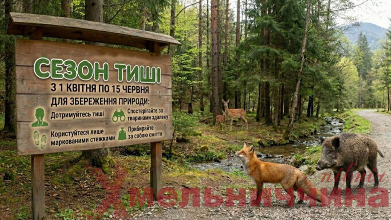 В Україні розпочинається «сезон тиші»: що заборонено з 1 квітня