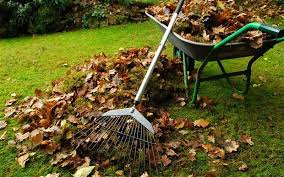 Чистота починається з кожного порогу: у Білогірській громаді стартував весняний благоустрій