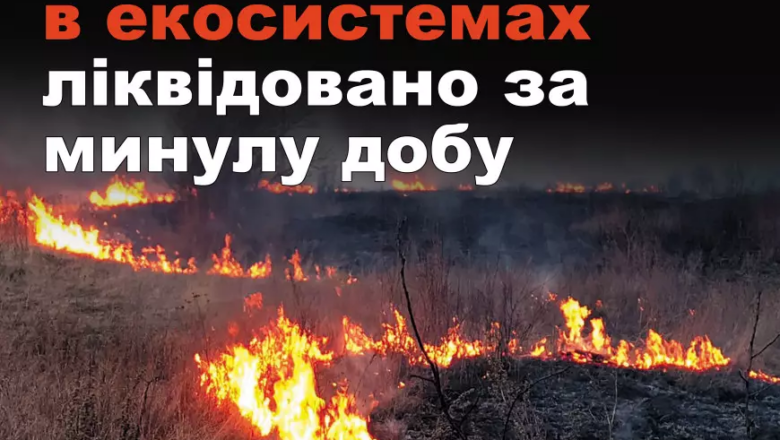 Площа трьох футбольних полів перетворилася на попелище: на Хмельниччині за добу ліквідували 7 пожеж в екосистемах