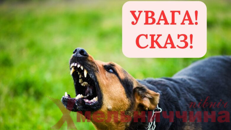 У Судилківській громаді зафіксовано випадок сказу: що потрібно знати мешканцям