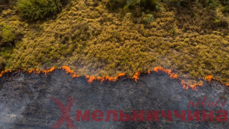 Пожежна безпека у природних екосистемах: чому важливо дотримуватися правил