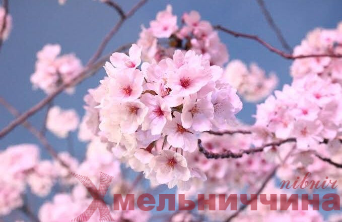 Не забудьте парасольку: погода 23 квітня здивує контрастами