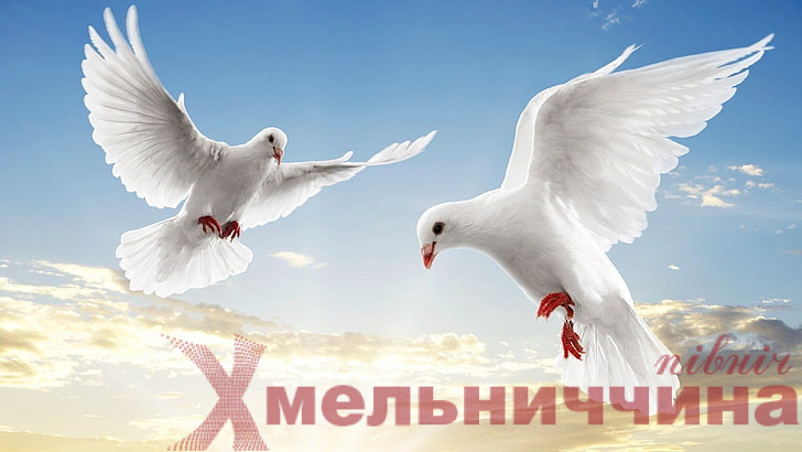 Символ віри і чекання: у Полонному відкриють пам’ятний знак «Серце Надії»