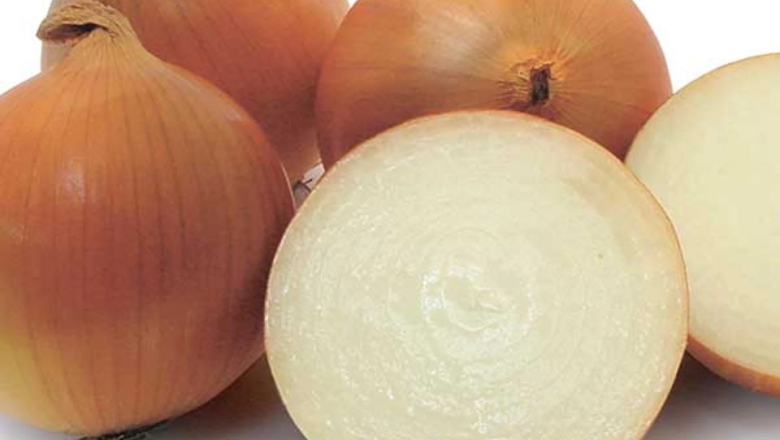 Агропідприємство на Шепетівщині планує виростити близько 200 тонн цибулі