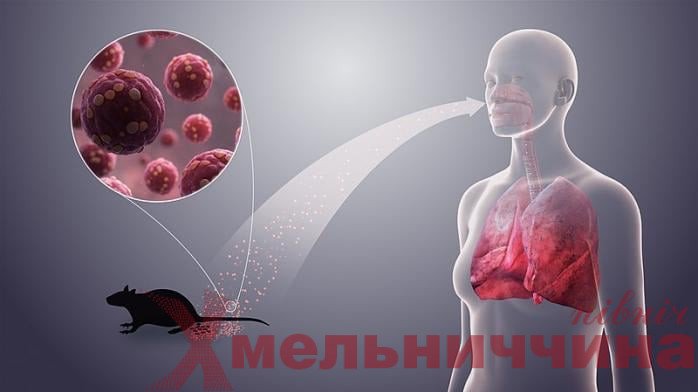 Прибирання старого сараю чи відпочинок у лісі можуть бути небезпечними: що таке хантавірус