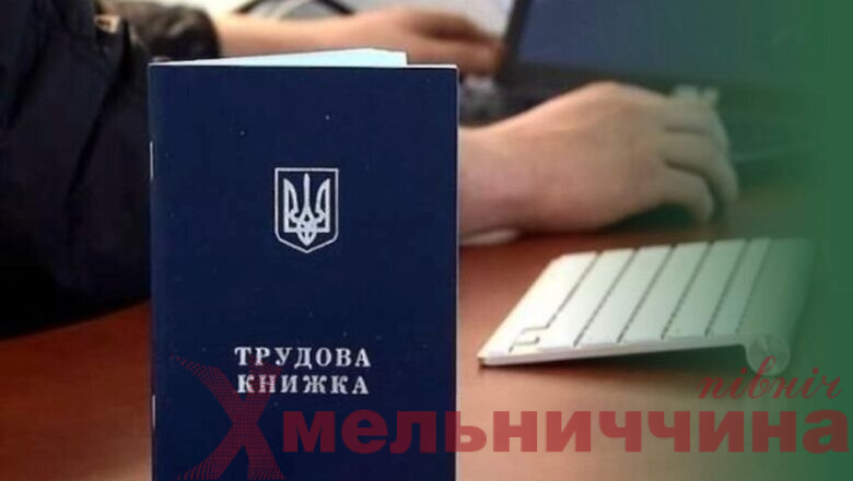 Трудова у смартфоні та «лікарняні» без черг: цифровізація на півночі Хмельниччини