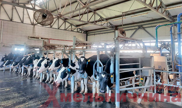 Дві ферми з Хмельниччини увійшли до ТОП-20 найпродуктивніших молочних господарств України
