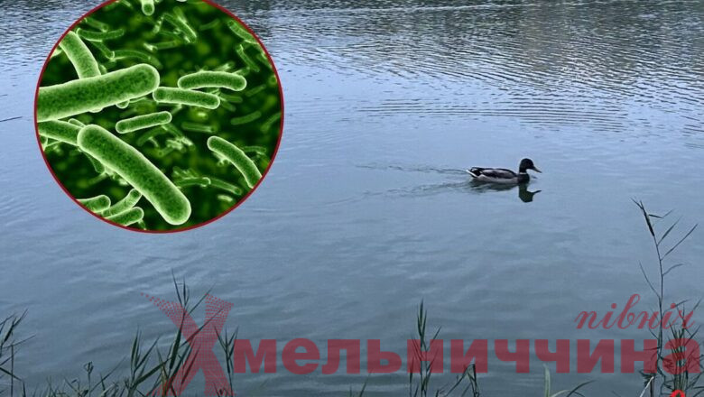 У Шепетівці виявили кишкову паличку у воді: фахівці не рекомендують купатися у «Парушці»