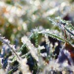 Заморозки, Шепетівський район, погода, прогноз